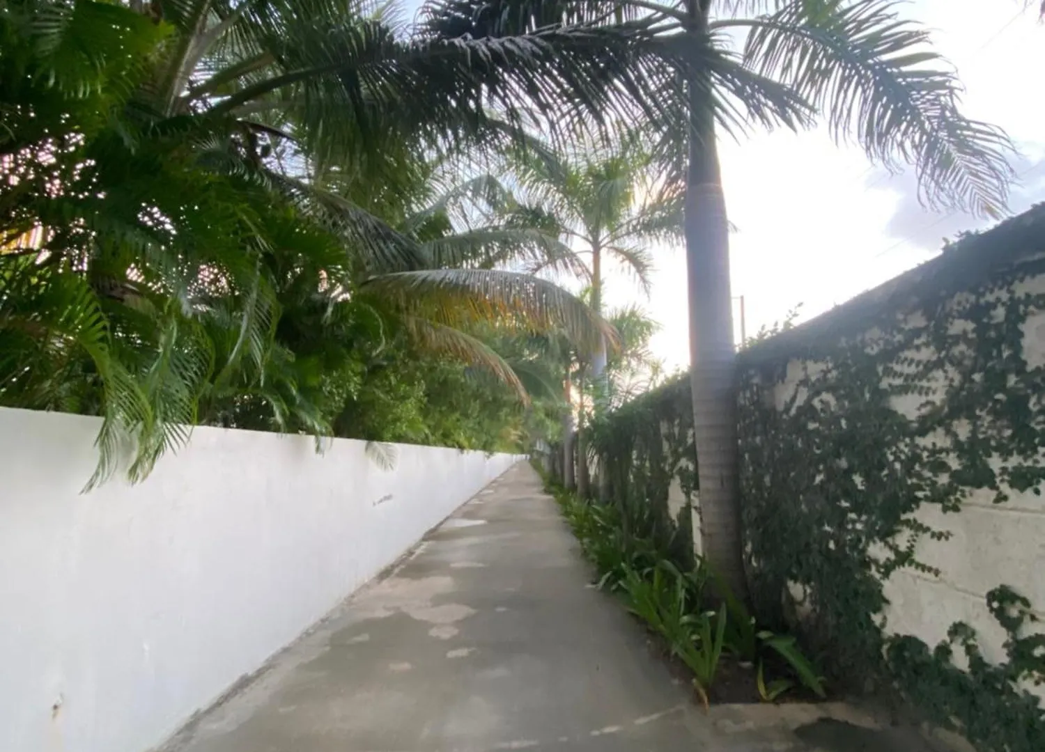 A Place With An Incredible View Two Pools On The Terrace Apartment Punta Cana Dominican Republic